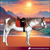 Horse Color:White Spotted Silver Brown Splash Tobiano Rabicano 