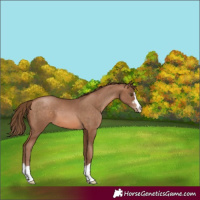 Horse Color:Brown Pearl 