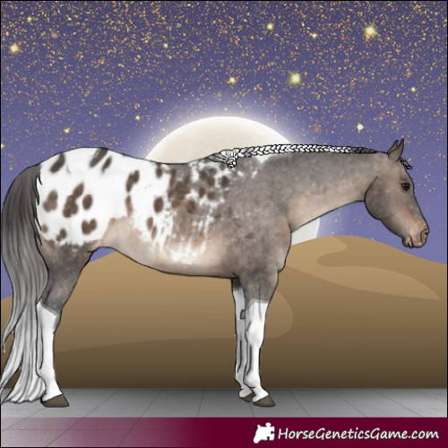 Horse Color:Brown Dun Tobiano Blanket Brindle 