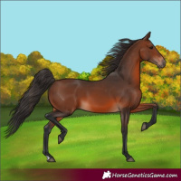 Horse Color:Brown 