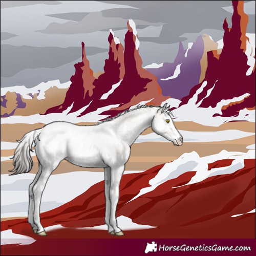 Horse Color:White Spotted Amber Champagne 
