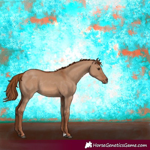 Horse Color:Red Dun Rabicano