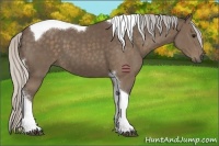 Horse Color:Silver Black Sabino Tobiano 