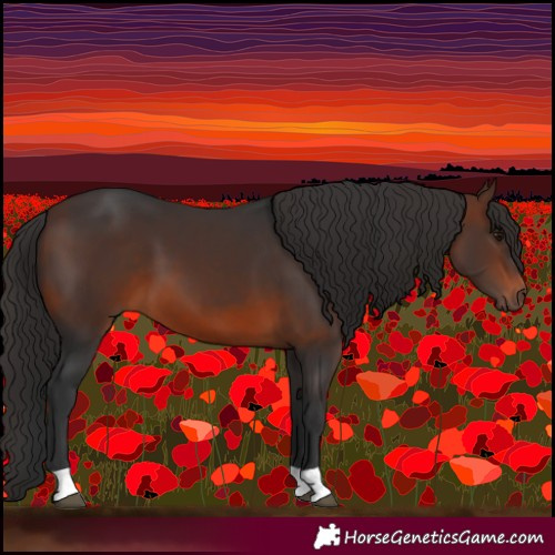 Horse Color:Brown 