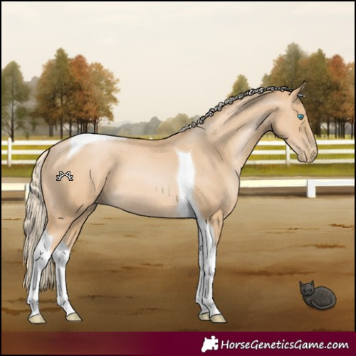 Horse Color:Palomino Pearl Tobiano 