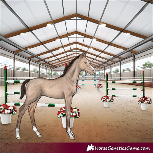 Horse Color:Amber Champagne Dun 