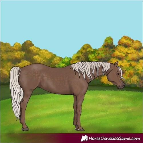 Horse Color:Silver Black 