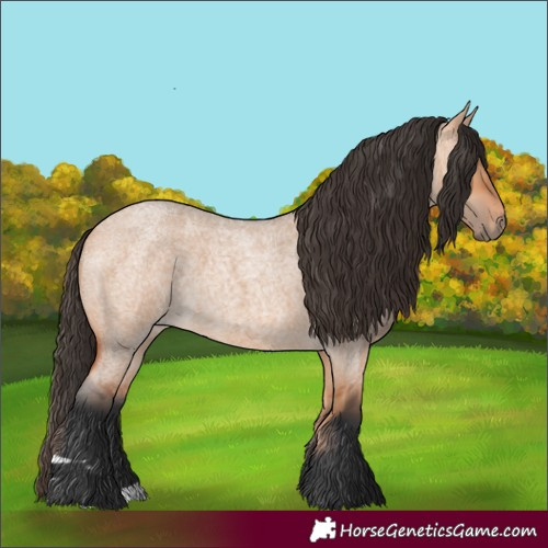 Horse Color:Bay Roan Dun 