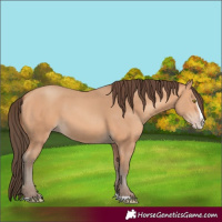 Horse Color:Amber Champagne Splash