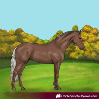 Horse Color:Silver Black 