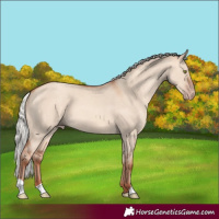 Horse Color:Silver Amber Champagne Dun 