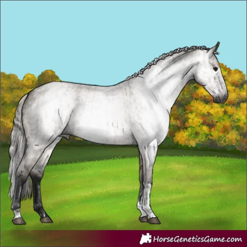 Horse Color:Gray Brown Roan Dun Tobiano  and Gray Silver Smoky Grullo Roan Tobiano 