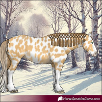 Horse Color:Amber Cream Champagne Splash Near Leopard 