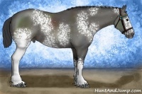 Horse Color:White Spotted Black Sabino
