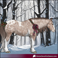 Horse Color:Classic Champagne Sabino Splash Tobiano Appaloosa