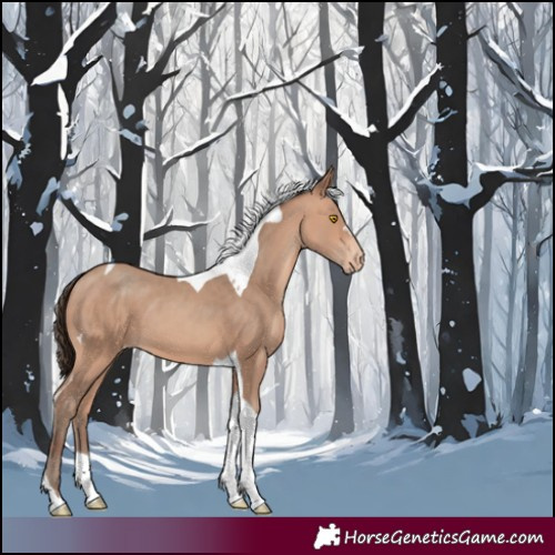 Horse Color:Amber Champagne Tobiano Varnish 