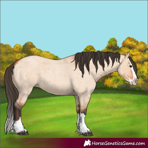 Horse Color:Bay Roan Dun Splash