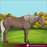 Horse Color:Silver Black 