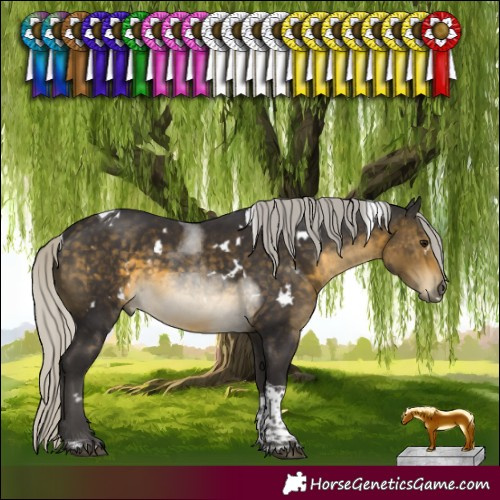 Horse Color:White Spotted Silver Buckskin Tobiano 