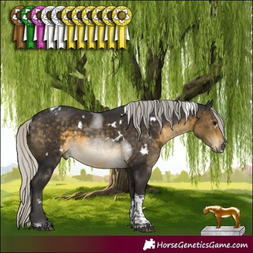 Horse Color:White Spotted Silver Buckskin Tobiano 