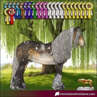 Horse Color:White Spotted Silver Buckskin Tobiano