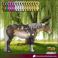 Horse Color:White Spotted Silver Buckskin Tobiano