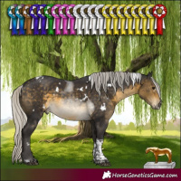 Horse Color:White Spotted Silver Buckskin Tobiano