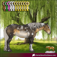 Horse Color:White Spotted Silver Buckskin Tobiano