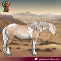 Horse Color:Silver Brown Pearl Dun Tobiano Rabicano 