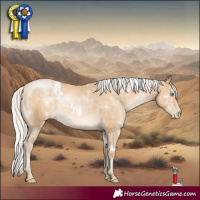 Horse Color:White Spotted Silver Buckskin Pearl 