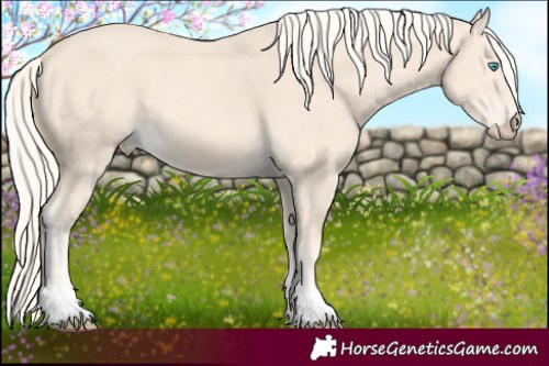 Horse Color:Cremello Tobiano