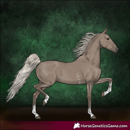 Horse Color:Silver Grullo Sabino Rabicano 