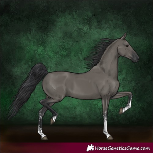 Horse Color:Grullo Sabino Rabicano 