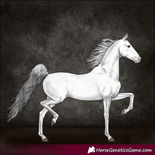 Horse Color:Grullo Sabino Rabicano 