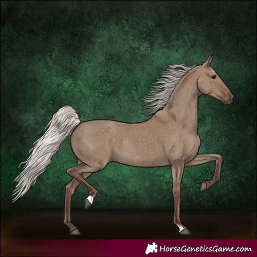 Horse Color:Silver Grullo Rabicano 