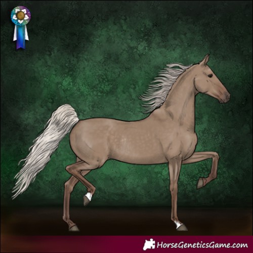Horse Color:Silver Grullo Rabicano 