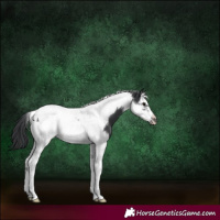 Horse Color:Black Splash Tobiano Frame 