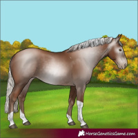 Horse Color:Gray Silver Black Pearl Tobiano