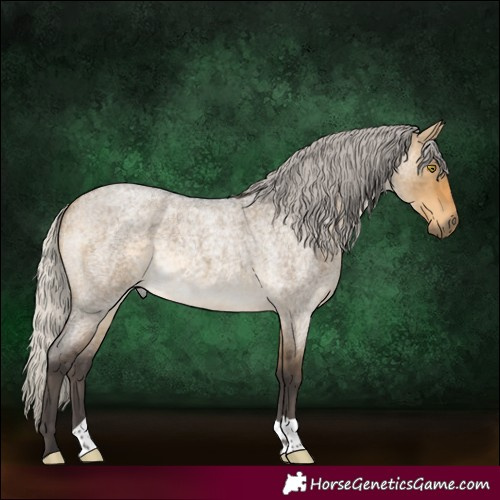 Horse Color:Silver Buckskin Roan Dun 