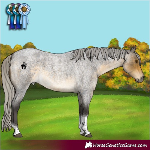 Horse Color:Silver Buckskin Roan Tobiano 