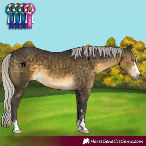 Horse Color:Silver Buckskin 