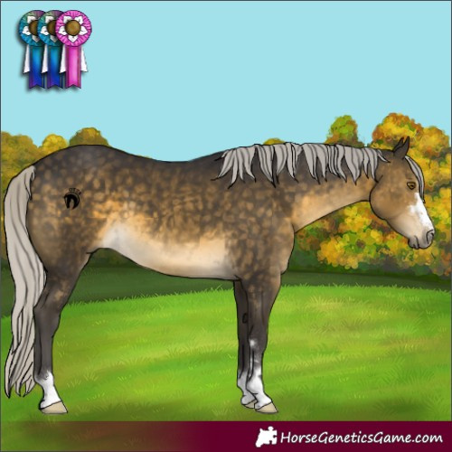 Horse Color:Silver Buckskin 