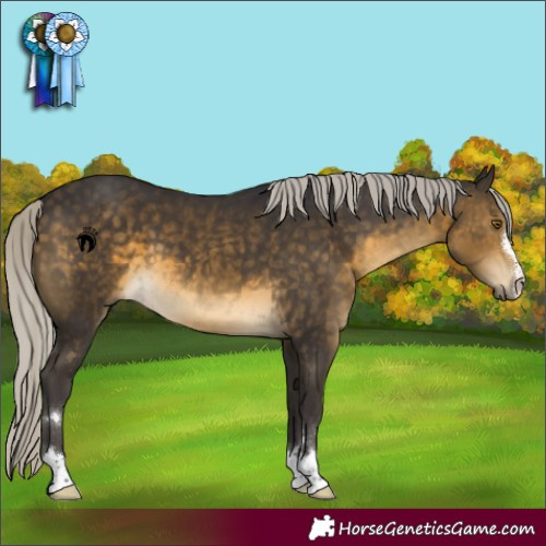 Horse Color:Silver Buckskin 