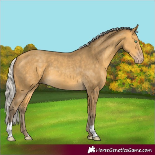 Horse Color:Silver Amber Cream Champagne