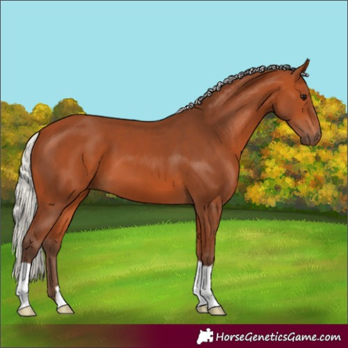Horse Color:Silver Bay 