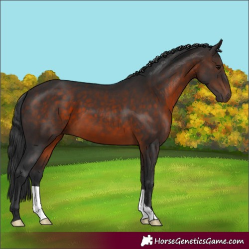 Horse Color:Brown 