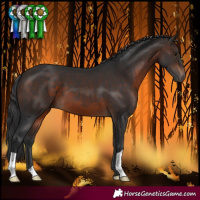 Horse Color:Brown 