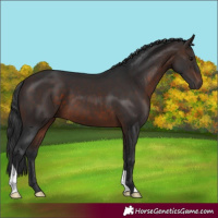 Horse Color:Brown 