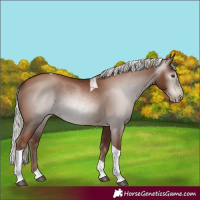 Horse Color:Gray Silver Black Pearl Tobiano 