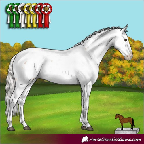 Horse Color:Silver Bay Sabino 